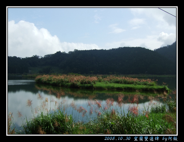 9長滿了粉紅色芒草.jpg