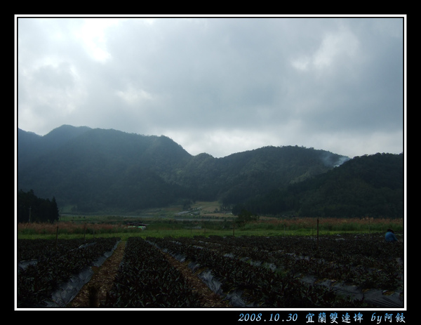 16紅鳳菜田與對岸的田.jpg