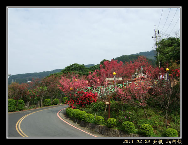 19被各色粉紅包圍的福德廟.jpg