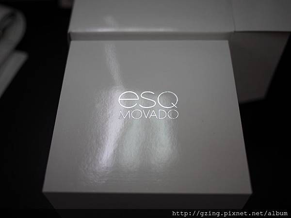 ESQ by Movado Excel 07301450 莫凡陀 男錶 瑞士 製造 機蕊