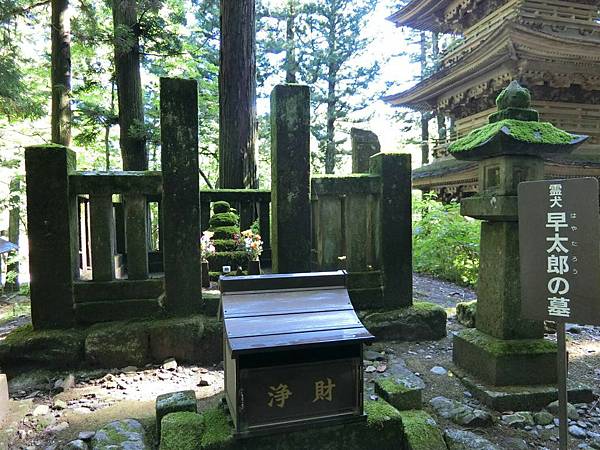 長野　信州遠征12：光前寺　靈犬早太郎　日劇・動漫「ゆるキャ