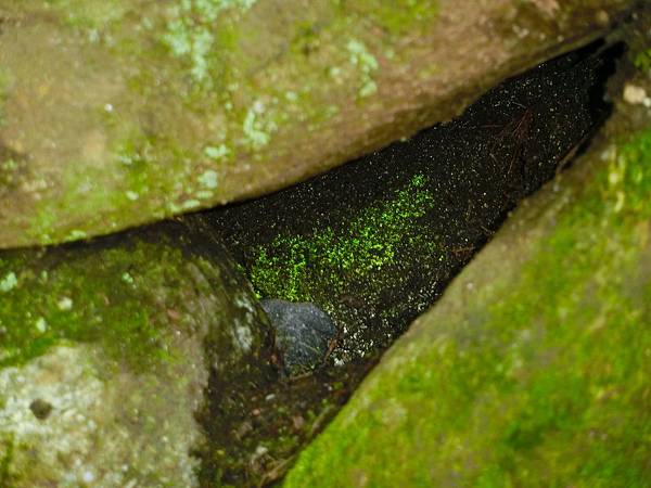 長野　信州遠征12：光前寺　靈犬早太郎　日劇・動漫「ゆるキャ