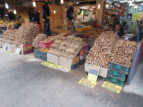 韓國　首爾自由行：京東市場/藥令市場(韓國最大人蔘藥材集貨地