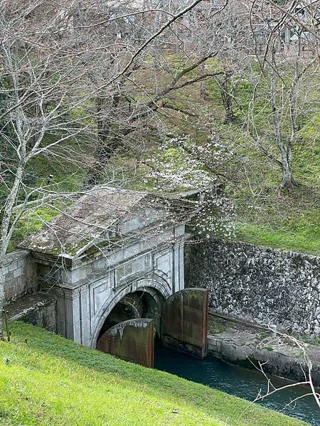[食記] 日本滋賀 OKAKI大津店(近江和牛料理)
