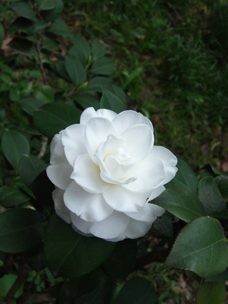 4AB9CC0A14ABDF50908CAE2BACD63CFA.jpg 4AB9CC0A14ABDF50908CAE2BACD63CFA.jpg