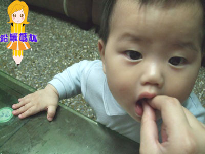 DSCF3639拷貝.jpg DSCF3639拷貝.jpg