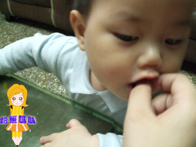 DSCF3642拷貝.jpg DSCF3642拷貝.jpg