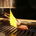 IMG_5579.JPG
