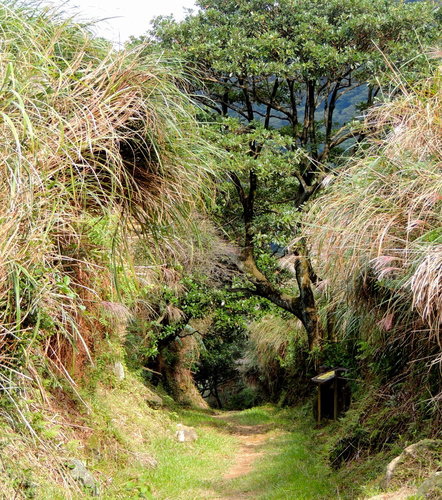 金包里大路/魚路古道