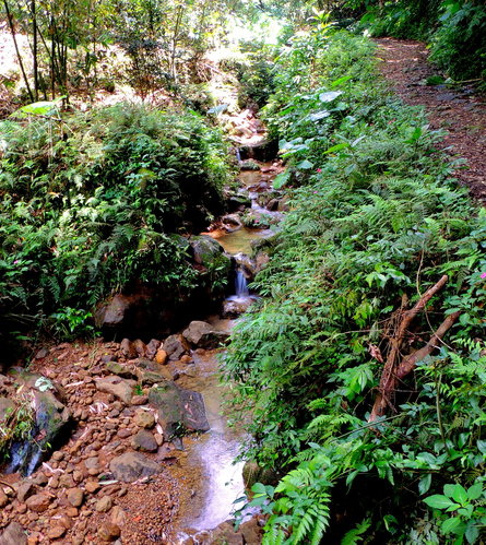 小粗坑古道