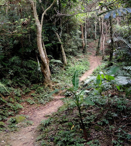 百吉林蔭步道