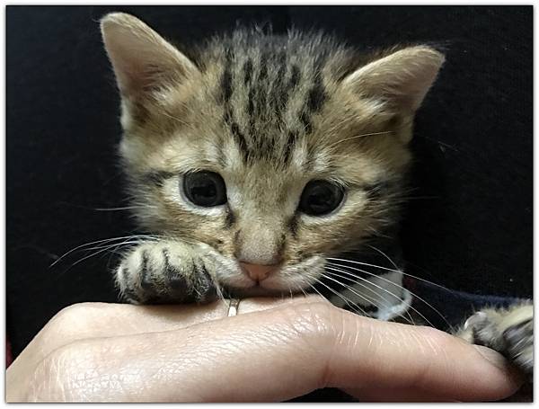 IMG_2780.JPG IMG_2780.JPG