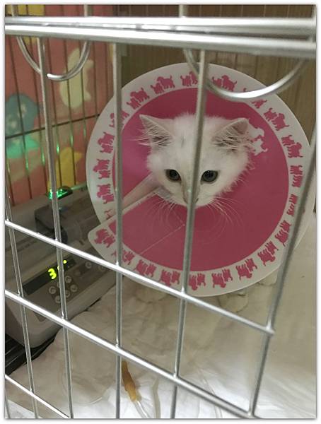 IMG_3640.JPG IMG_3640.JPG