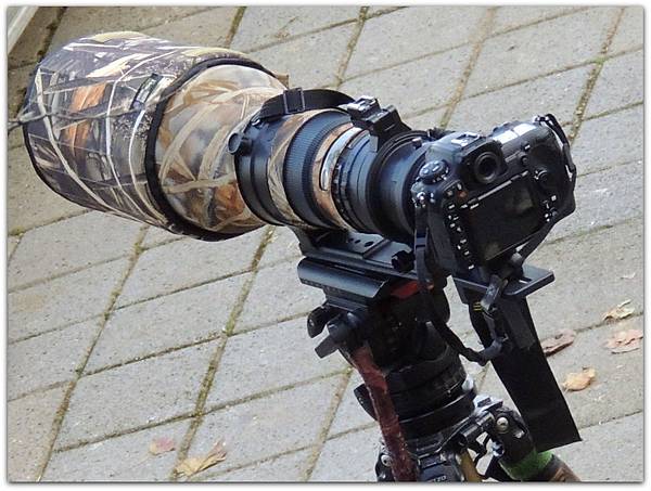 DSCN1056.JPG DSCN1056.JPG