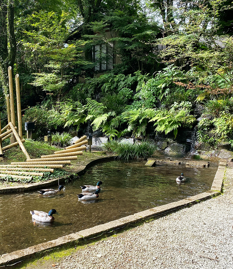 [九州熊本] 竹樂亭，阿蘇山腳下日式旅館 私人露天溫泉太享受