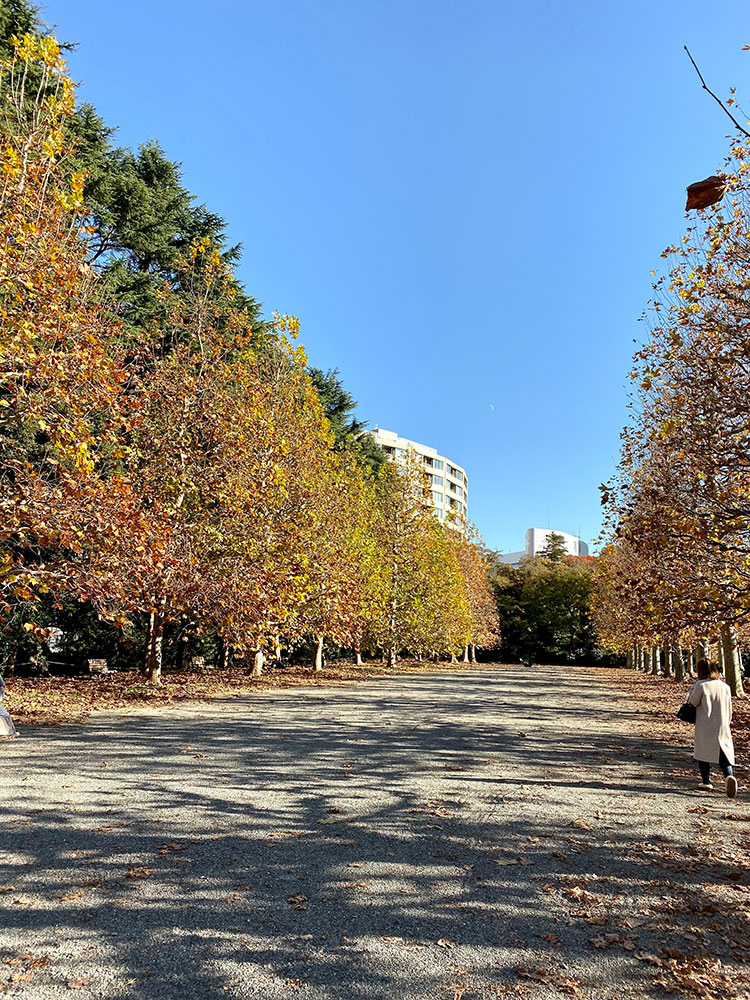 [東京] 新宿御苑，市區絕美賞楓景點推薦！  紅葉季 門票 