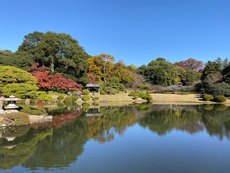 (未設定標題)