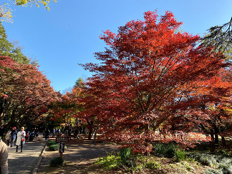 (未設定標題)