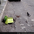 SteveWheenPotholeGardener3.jpg