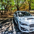 【婚攝小侯】SUBARU LEVORG GT-S