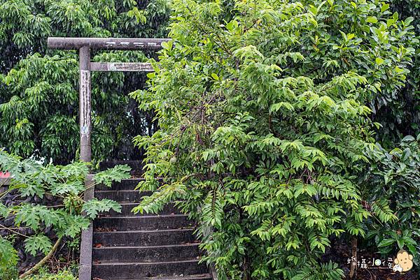 【婚攝小侯】屏東縣佳冬神社