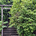 【婚攝小侯】屏東縣佳冬神社