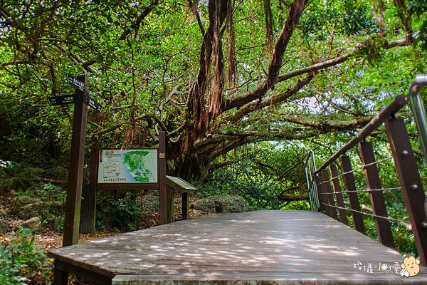 【婚攝小侯】柴山秘境初體驗之旅