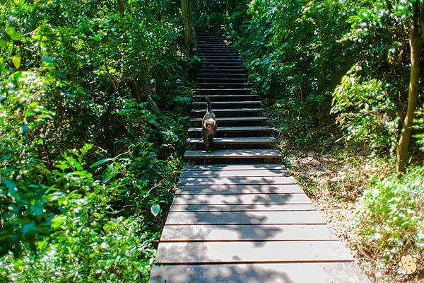 【婚攝小侯】柴山秘境初體驗之旅