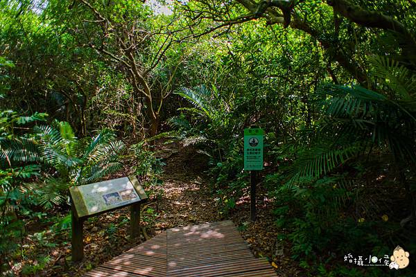 【婚攝小侯】柴山秘境初體驗之旅