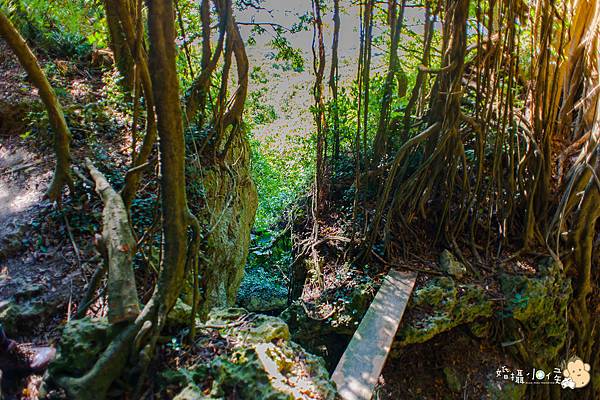 【婚攝小侯】柴山秘境初體驗之旅