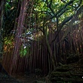 【婚攝小侯】柴山秘境初體驗之旅