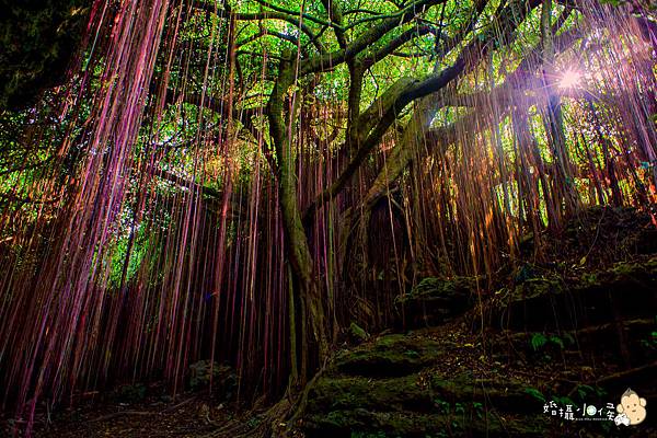 【婚攝小侯】柴山秘境初體驗之旅