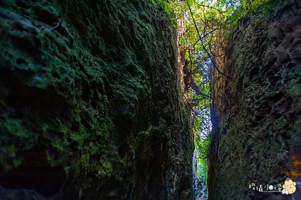 【婚攝小侯】柴山秘境初體驗之旅