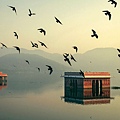 jal-mahal-india_70950_990x7421.jpg