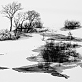 snow-landscape-japan_72960_990x742.jpg