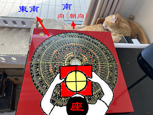 貓房.png