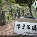 梯子吊橋-05a.jpg