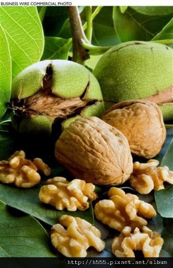 walnut 核桃-02.jpg