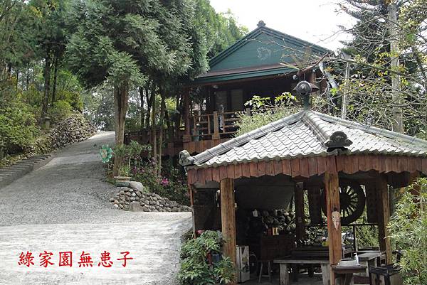 照片桃米 018 照片桃米 018