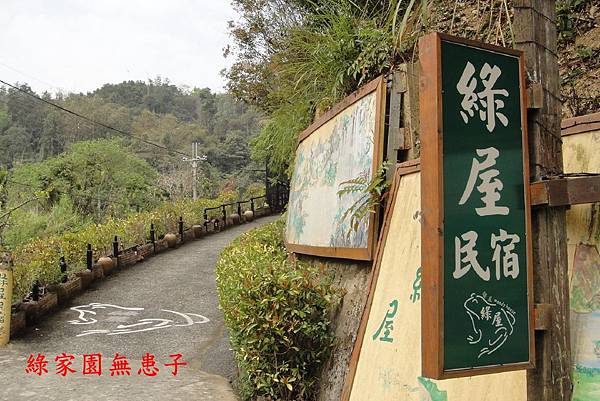 照片桃米 028 照片桃米 028