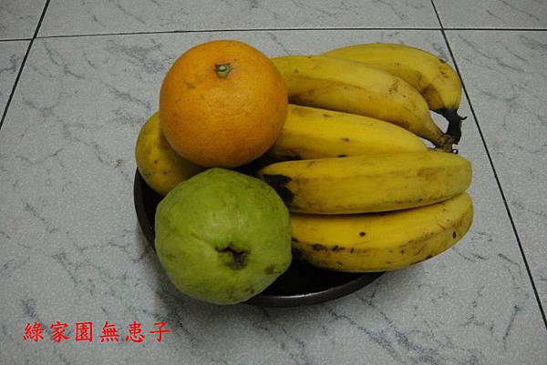 DSC03125 DSC03125