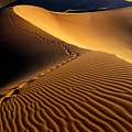 Footprints__Namib_Desert__Namibia__Africa