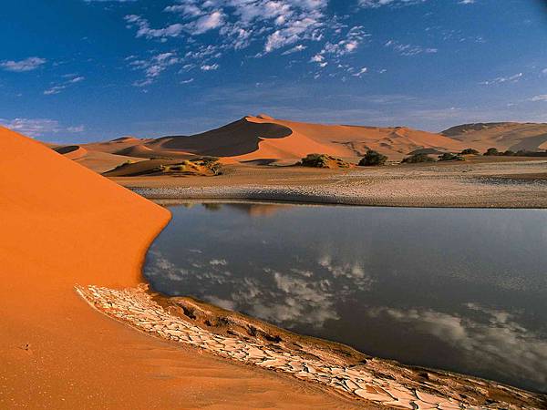 Desert_Oasis