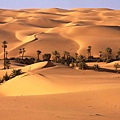 Desert_Oasis__Libya