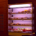 20100207846.jpg