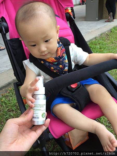 20150621_IMG_1333.JPG 試用