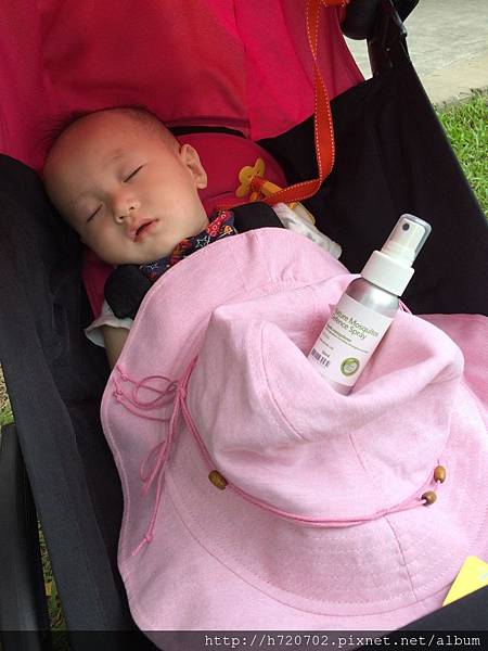 20150621_IMG_1341.JPG 試用