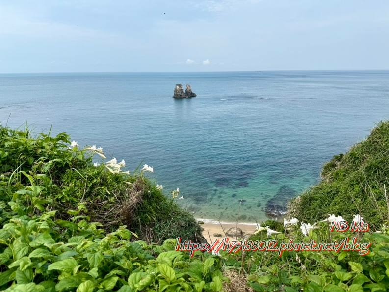 【遊記】新北金山區-北海岸吃喝玩樂一日遊