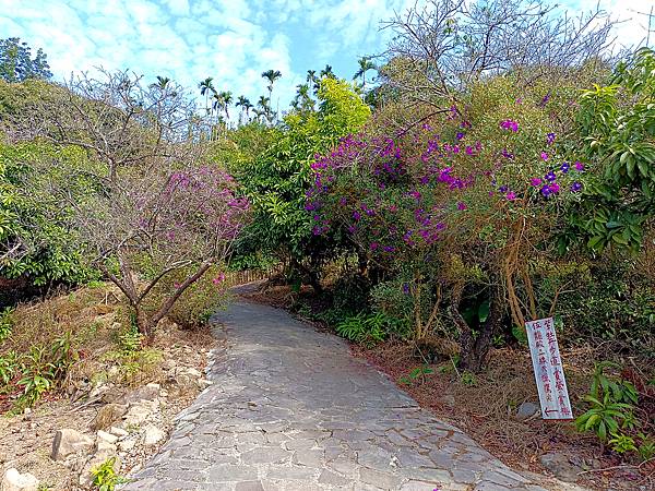 113/01/06梅嶺~太山梅子雞~萬佛寺