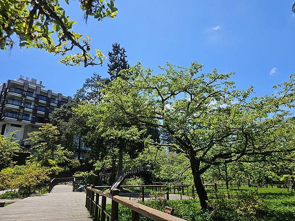 113/04/02星宇旅遊~阿里山一日遊